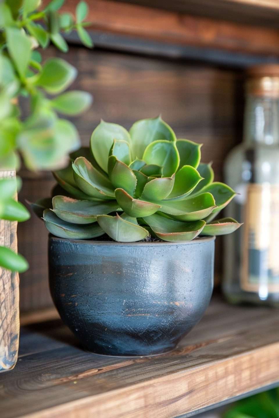 a faux succulent on a wood shelf